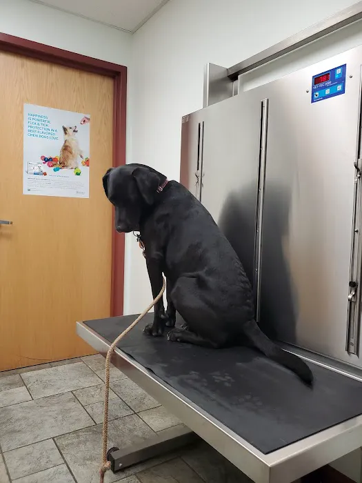 Tower Hill Animal Hospital Picture 3