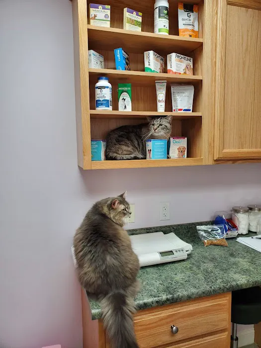 Tower Hill Animal Hospital Picture 5