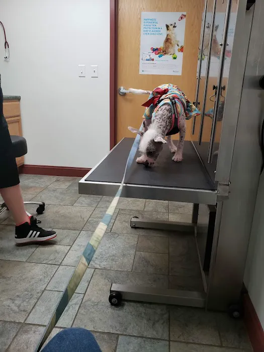 Tower Hill Animal Hospital Picture 7