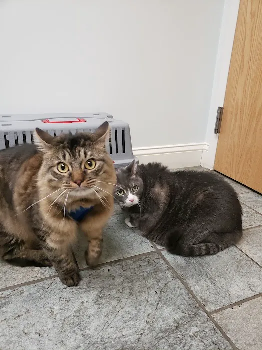 Tower Hill Animal Hospital Picture 10