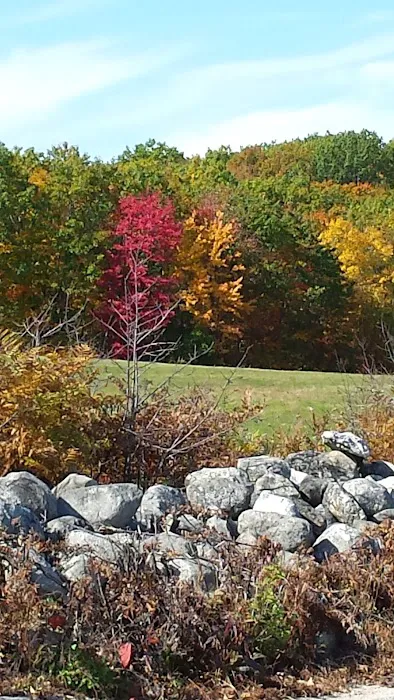 Acton Veterinary Clinic Picture 4
