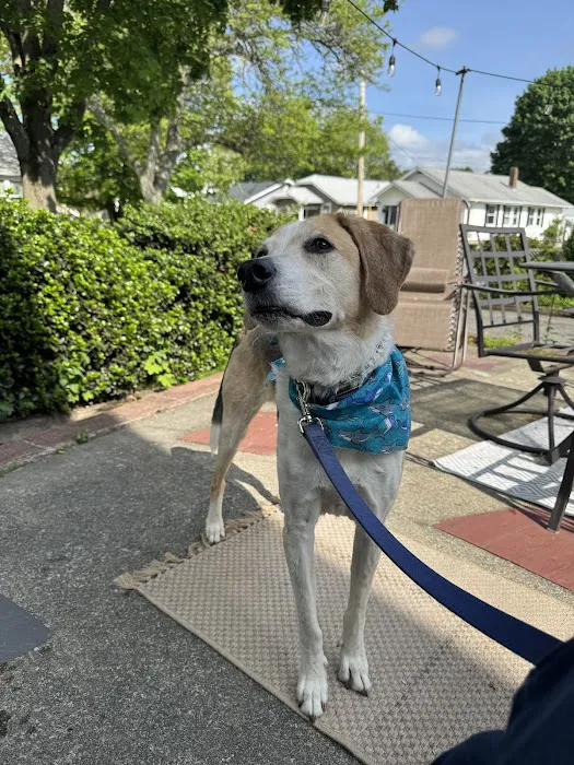 Norton Animal Hospital Picture 7