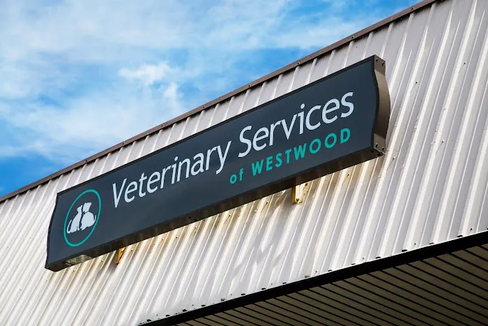 Veterinary Services of Westwood Picture 7