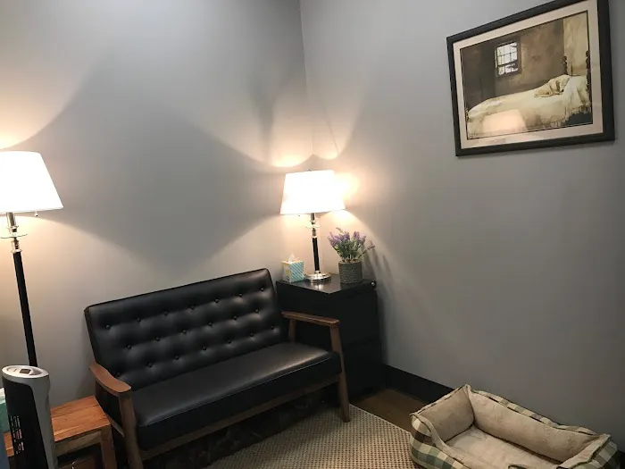 Veterinary Services of Westwood Picture 6
