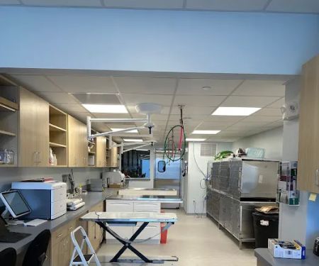 Veterinary Urgent Care Center - Dedham