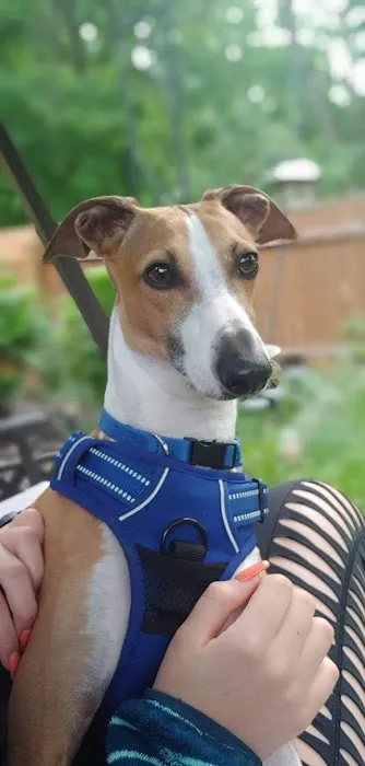 Animed Pet Hospital Picture 8