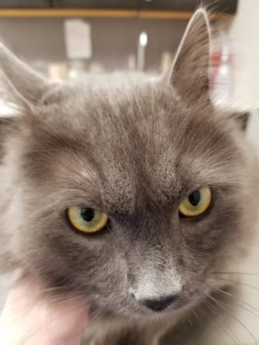Animed Pet Hospital Picture 6