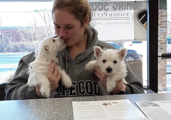 Animed Pet Hospital Picture 3