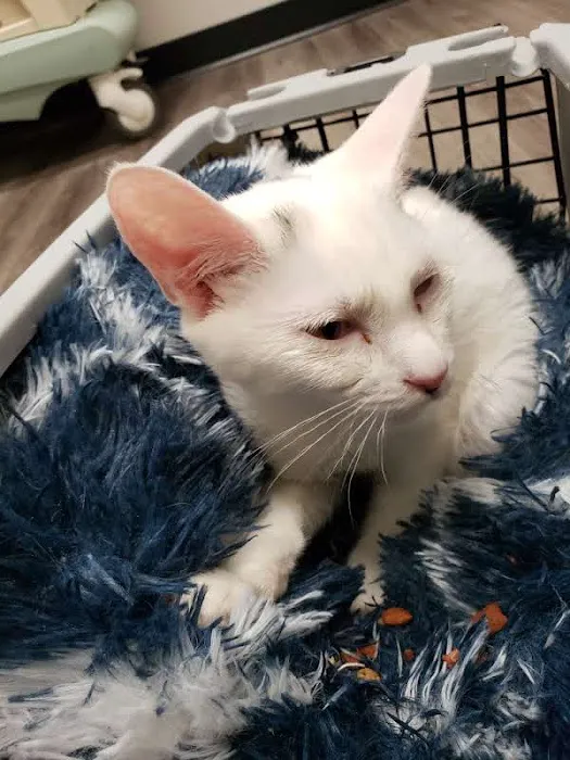 Animed Pet Hospital Picture 10
