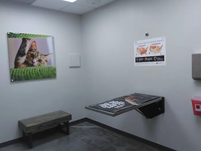 Vetco Total Care Animal Hospital Picture 5