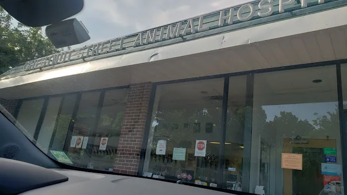 Chestnut Street Animal Hospital Picture 8