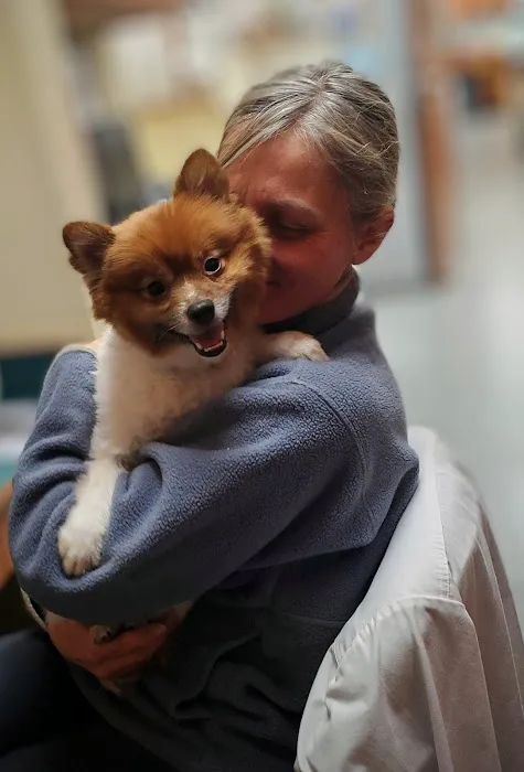 Boston Veterinary Specialists Picture 1