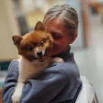 Boston Veterinary Specialists