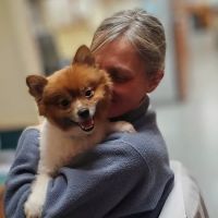 Boston Veterinary Specialists ico