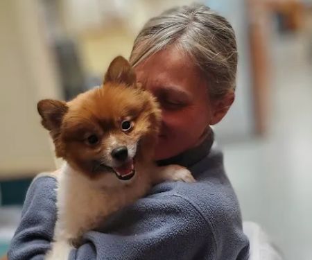 Boston Veterinary Specialists