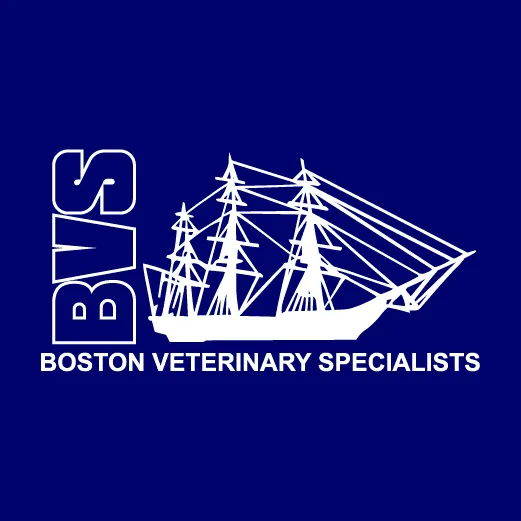 Boston Veterinary Specialists Picture 5