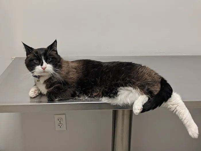 Canton Veterinary Hospital Picture 6