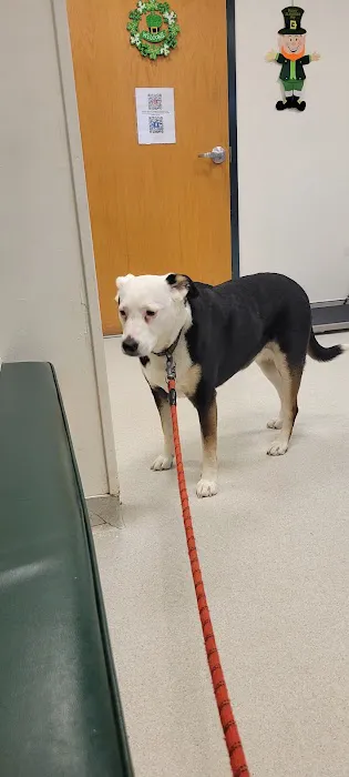 Canton Veterinary Hospital Picture 4
