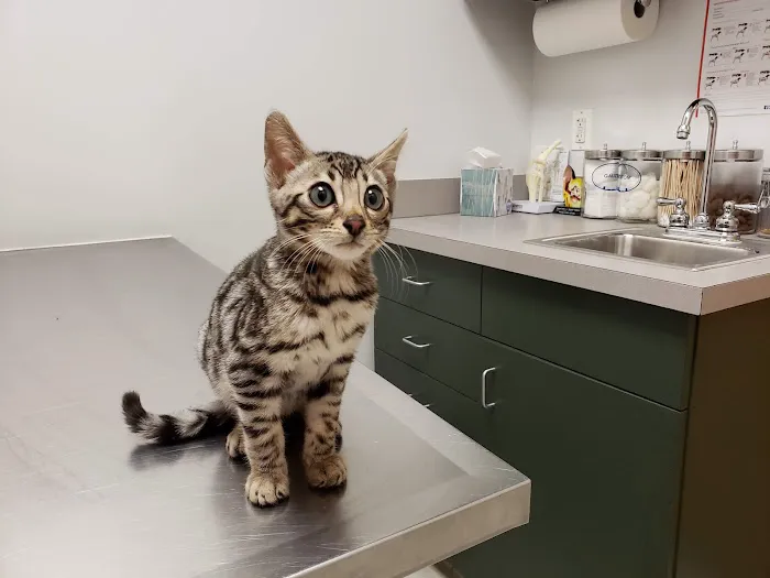 Canton Veterinary Hospital Picture 9