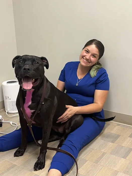 ADAvet Veterinary Clinic Picture 1