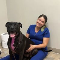 ADAvet Veterinary Clinic ico
