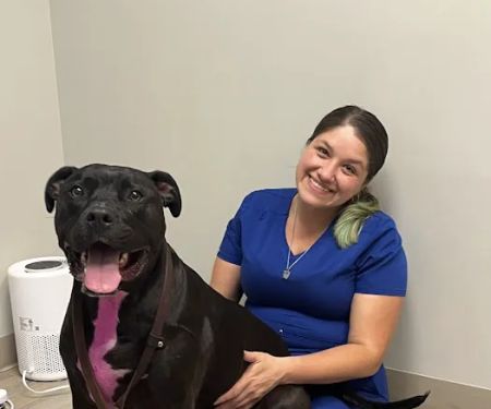 ADAvet Veterinary Clinic
