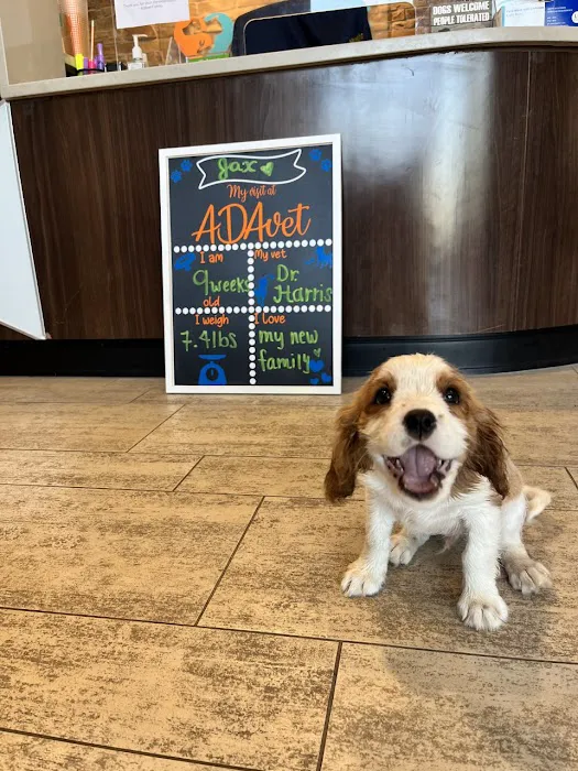 ADAvet Veterinary Clinic Picture 2