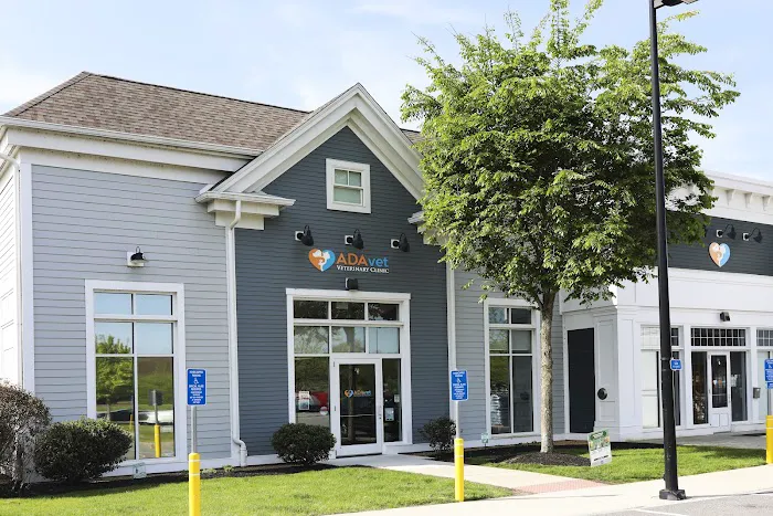 ADAvet Veterinary Clinic Picture 3