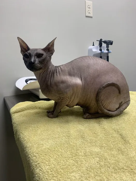ADAvet Veterinary Clinic Picture 8