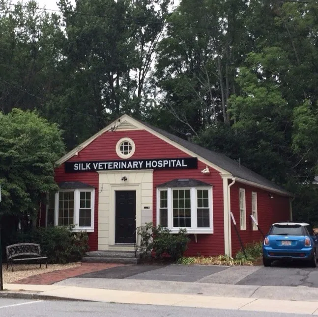 Silk Veterinary Hospital Picture 8