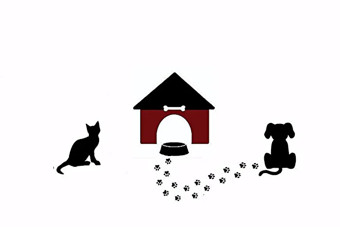 Silk Veterinary Hospital Picture 7