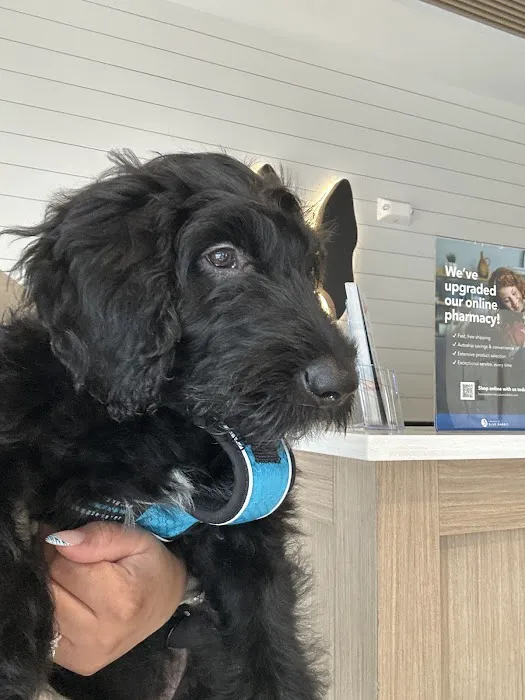 Boston Veterinary Clinic Picture 2