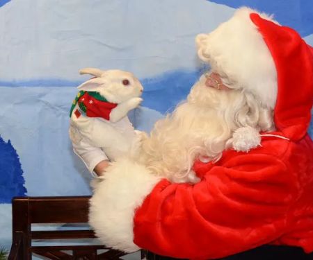 Highland Animal Hospital