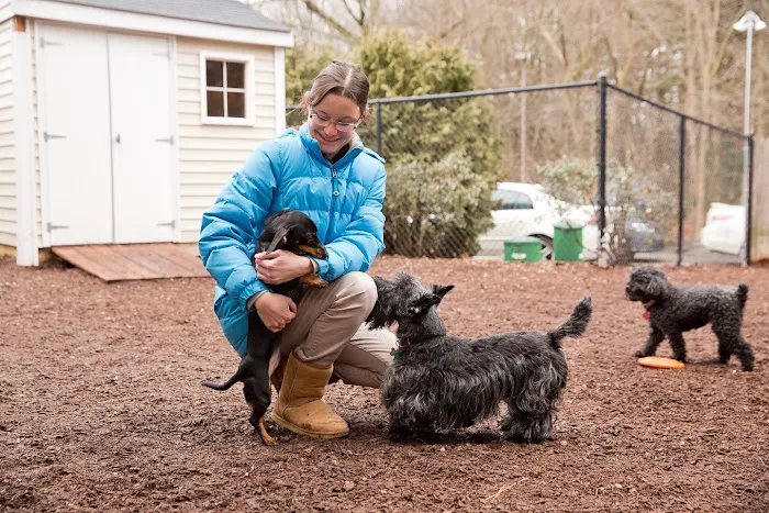 Highland Animal Hospital Picture 6