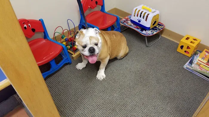 Highland Animal Hospital Picture 7