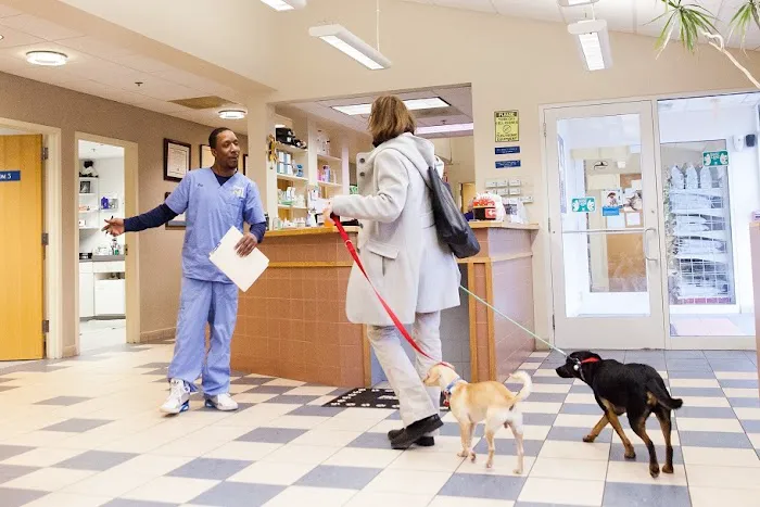Highland Animal Hospital Picture 8