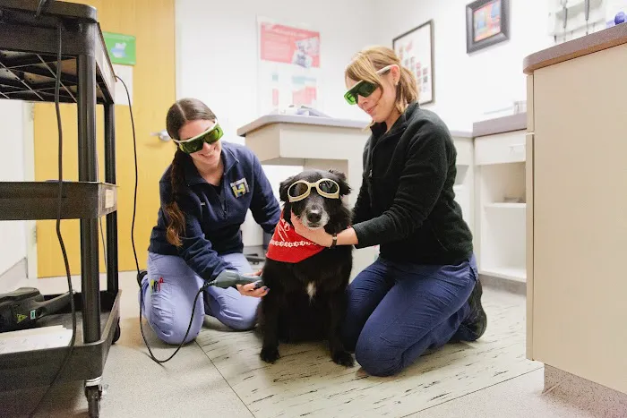 Highland Animal Hospital Picture 9