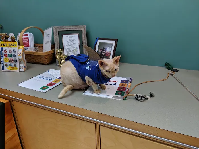 Mattapoisett Animal Hospital Picture 4