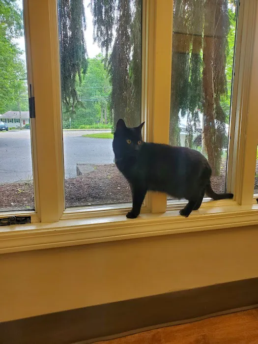 Mattapoisett Animal Hospital Picture 5