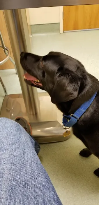 Mattapoisett Animal Hospital Picture 9