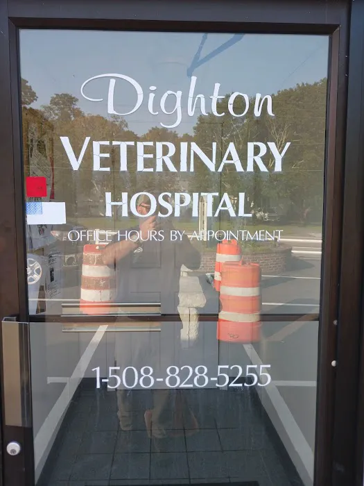 Dighton Veterinary Hospital Picture 3