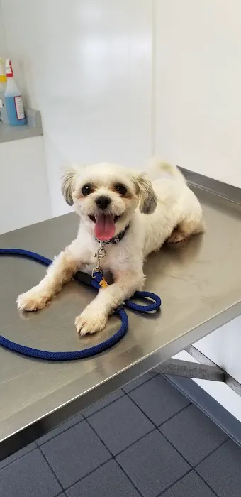 Dighton Veterinary Hospital Picture 5