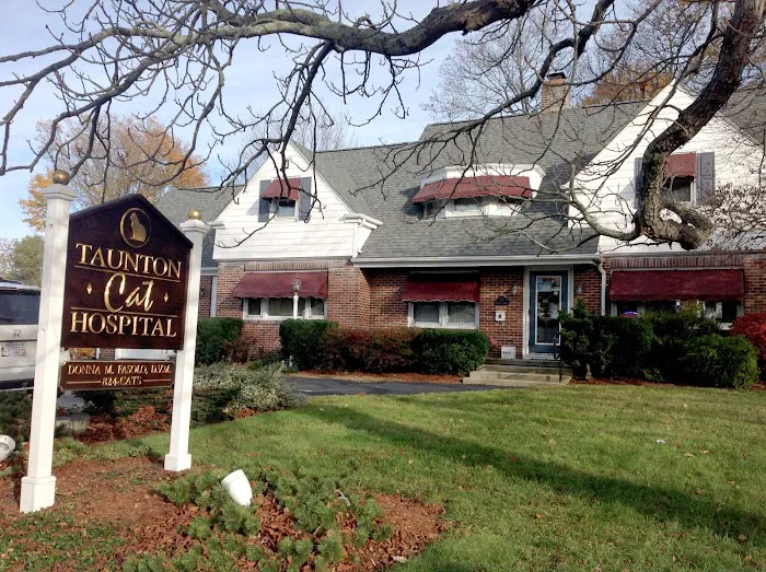 Taunton Cat Hospital Picture 2