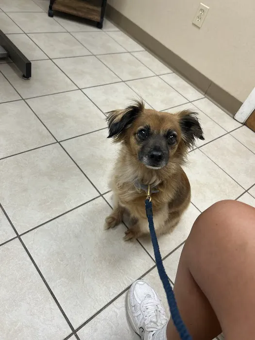 Taunton Animal Hospital Picture 3