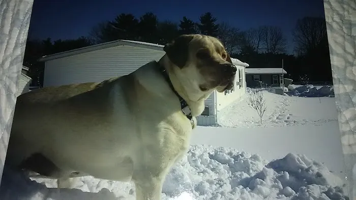 Taunton Animal Hospital Picture 2