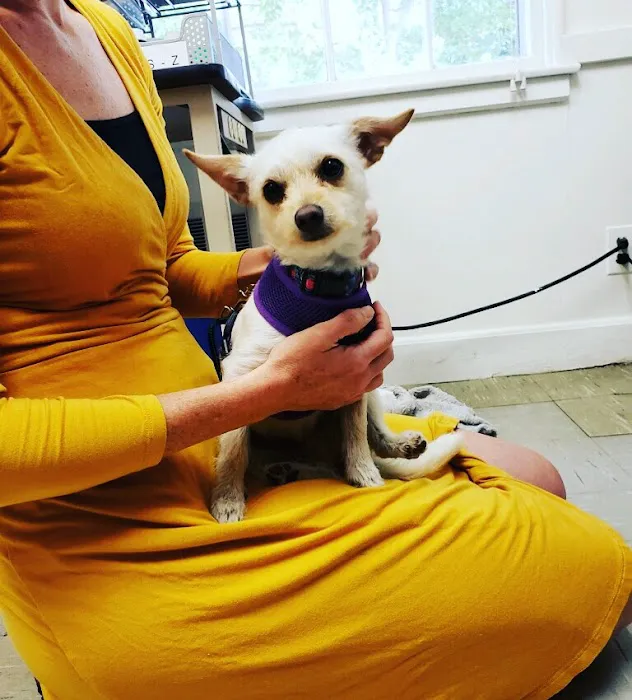 Concord Animal Hospital Picture 5