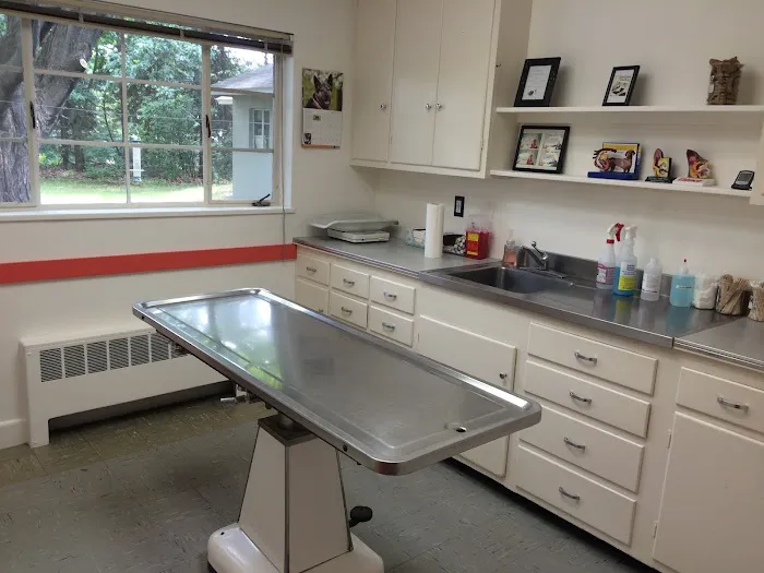 Concord Animal Hospital Picture 10
