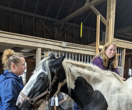 North Bridge Equine Associates