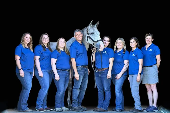 North Bridge Equine Associates Picture 6