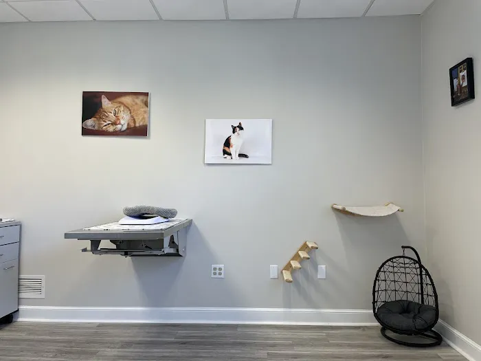 Hudson Veterinary Care Picture 3